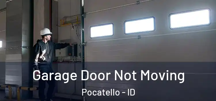  Garage Door Not Moving Pocatello - ID