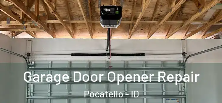  Garage Door Opener Repair Pocatello - ID