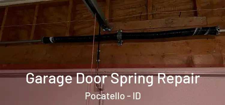  Garage Door Spring Repair Pocatello - ID