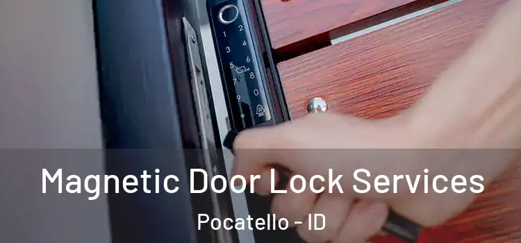 Magnetic Door Lock Services Pocatello - ID